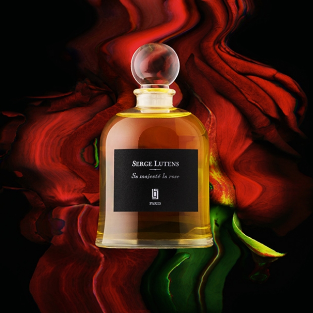 Sa majesté la rose